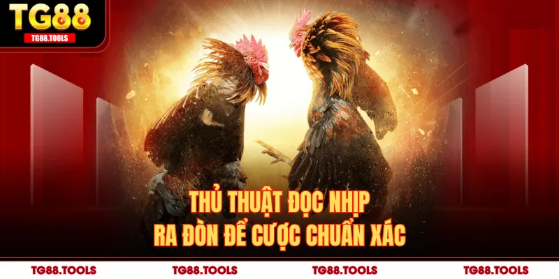 Thủ thuật đọc nhịp ra đòn để cược chuẩn xác