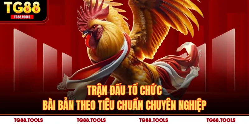 Trận đấu tổ chức bài bản theo tiêu chuẩn chuyên nghiệp